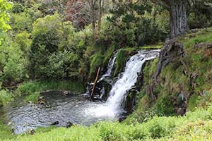 The beautiful Waiuku Falls in Auckland, New Zealand. Copyright: Hayes Photography