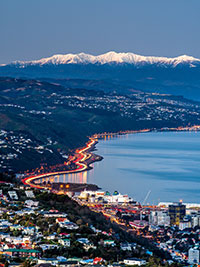 View of Wellington City and the Wellington Harbour. Copyright: Rob Suisted
