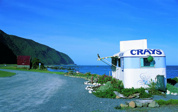 Crays in Kaikoura