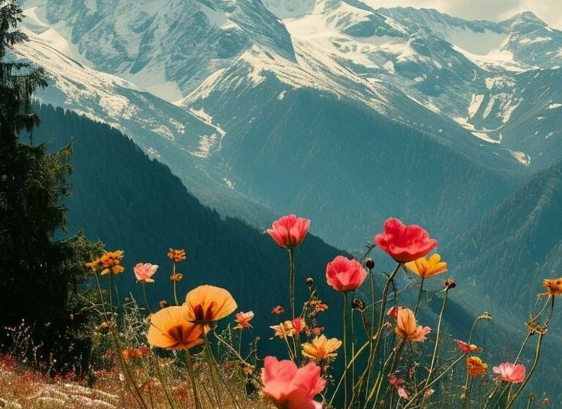 Floral Trails of New Zealand: The Best Gardens and Natural Parks to Explore