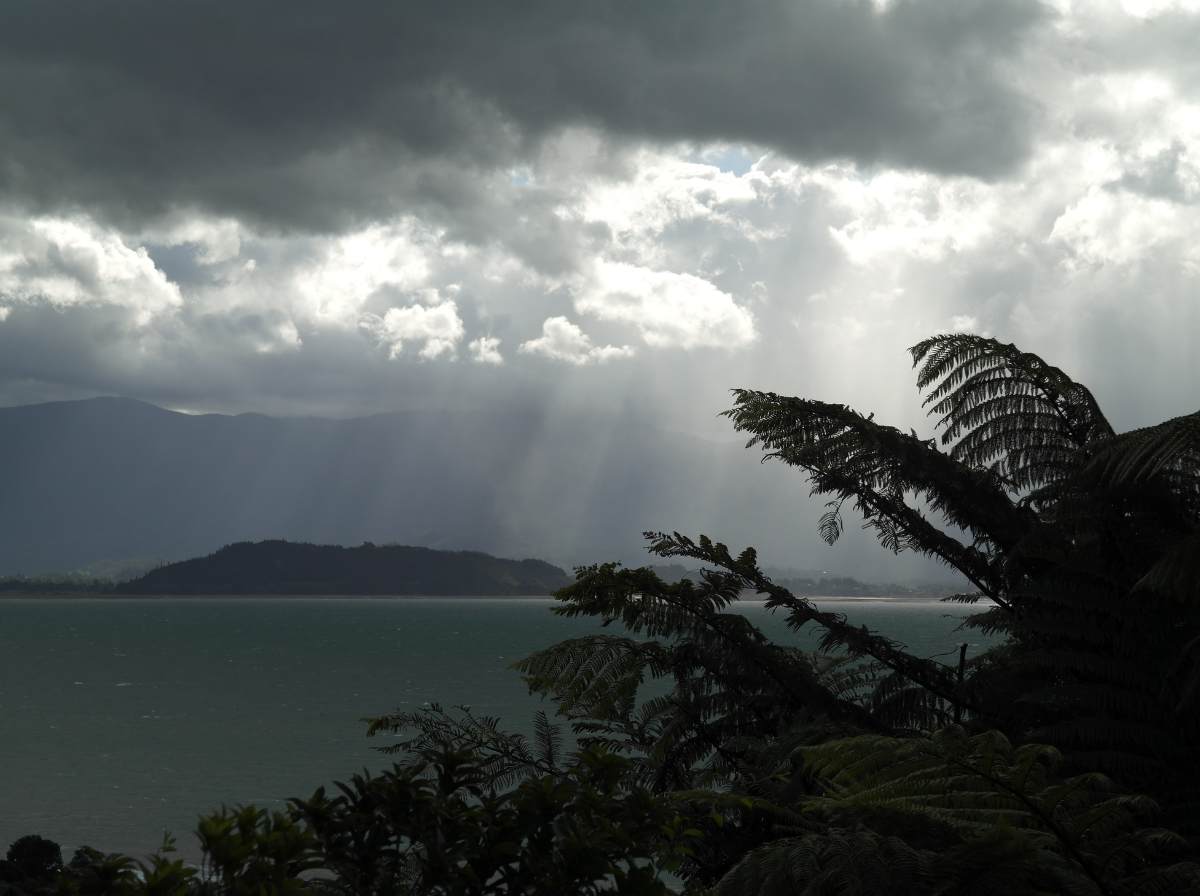Rainy Day Activities Across New Zealand: What Kiwis Actually Do When the Weather Turns