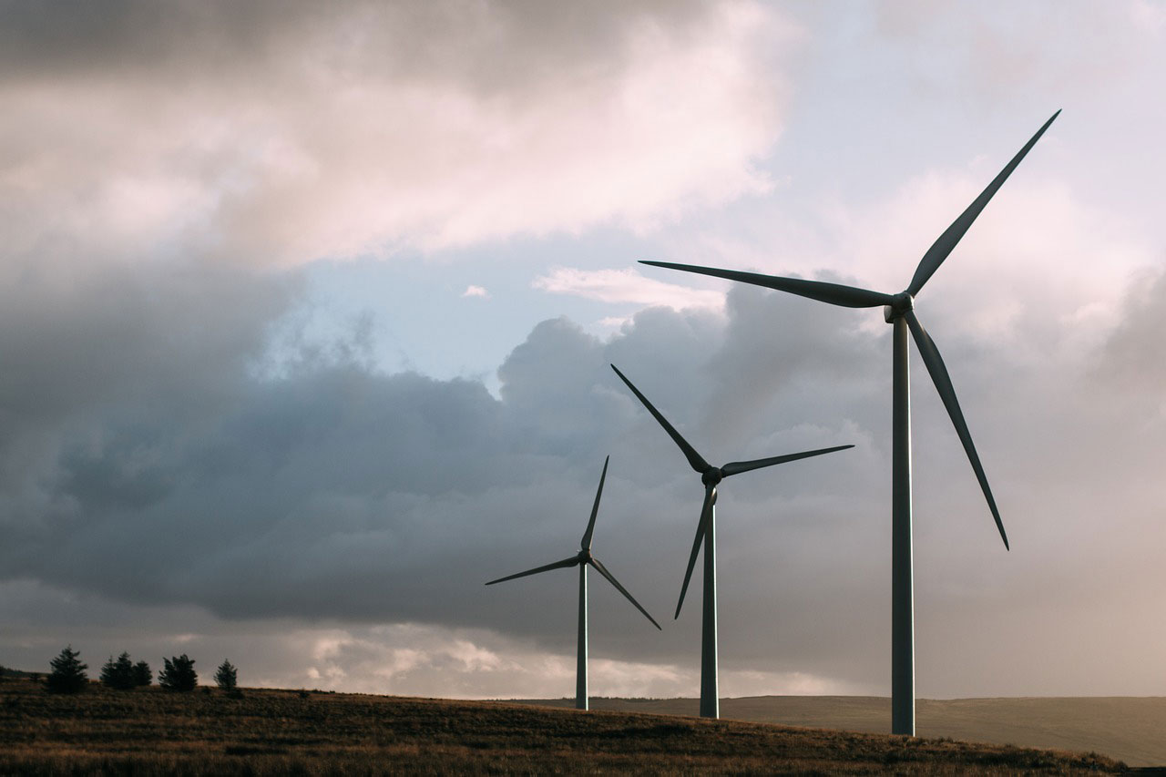 What you can do to support New Zealand's green future as a visitor
