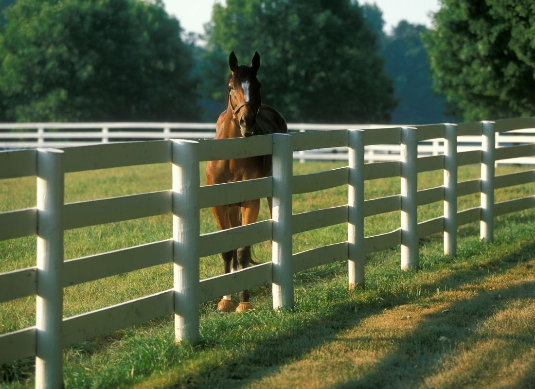 Wooden horse fencing