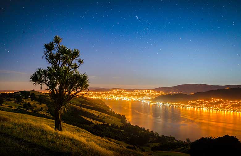 Otago Peninsula, Dunedin. Copyright: DunedinNZ