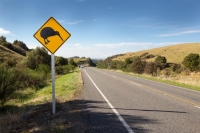 Kiwi Assignment Help