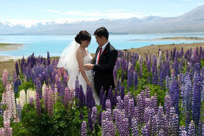 Elopement Packages NZ