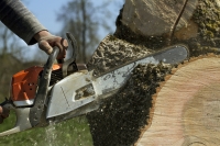 ArboristsSouthAuckland.co.nz