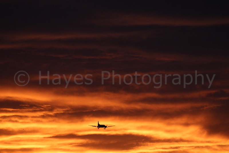 Hayes Photography